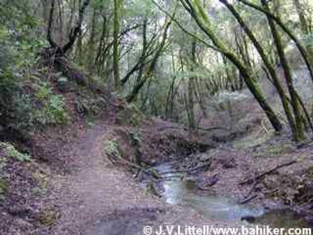 Adobe Creek Trail