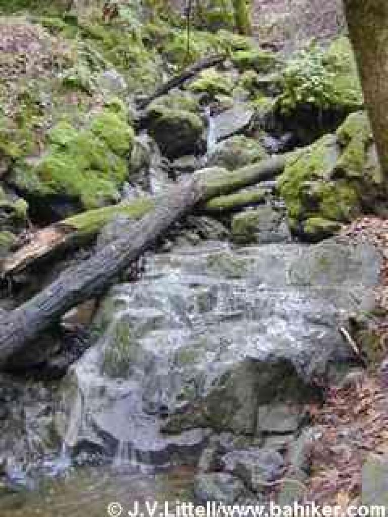 Bunny Creek falls