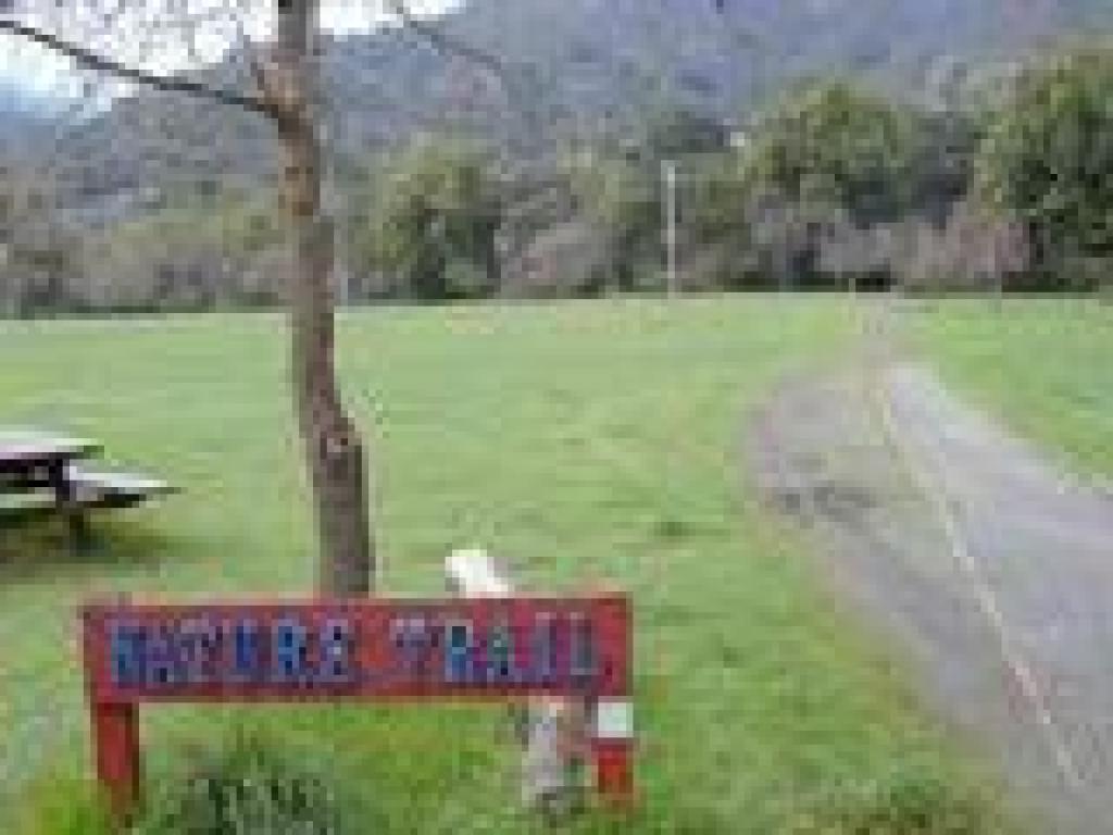 Nature Trail