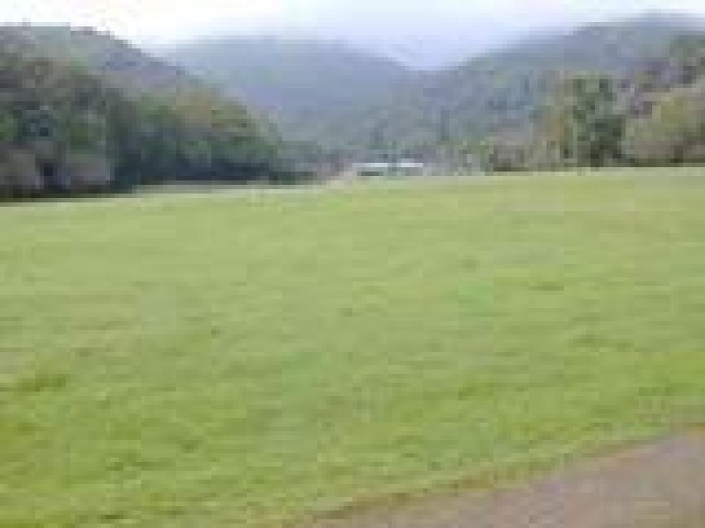 Meadow