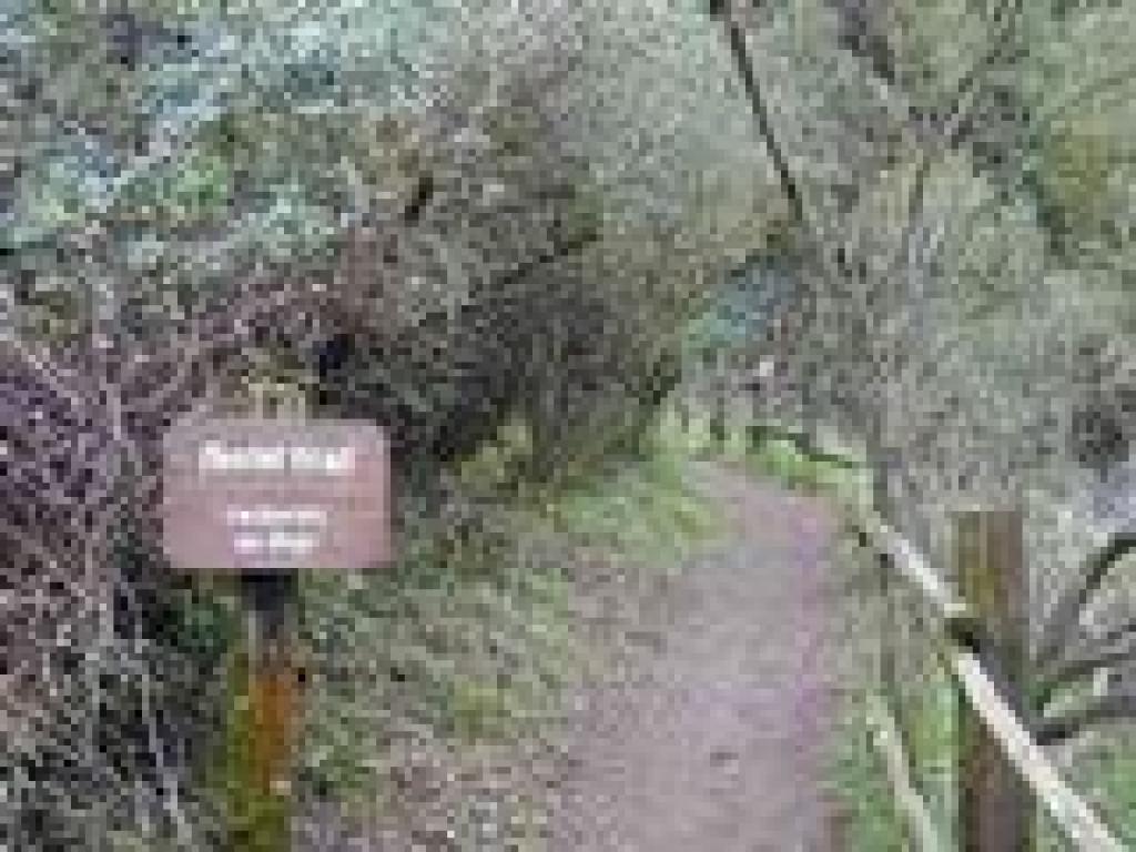 Hostel Trail