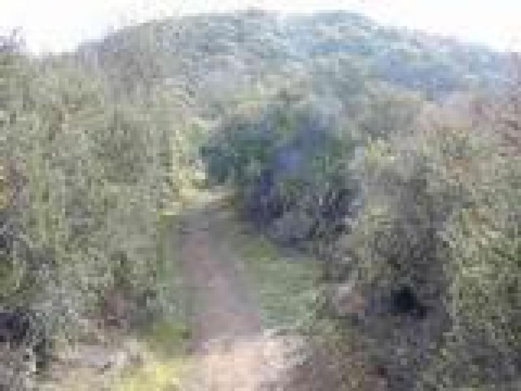 Heading for a hilltop