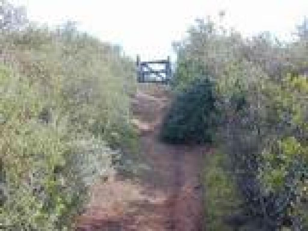 Approaching gate