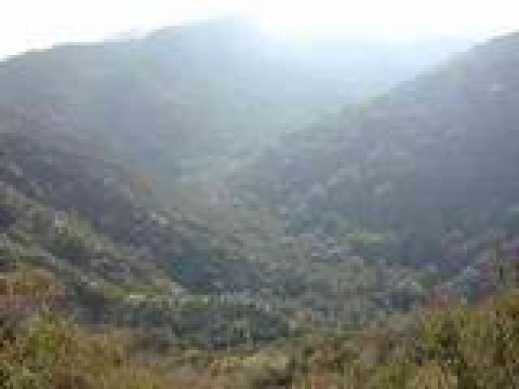 Black Mountain