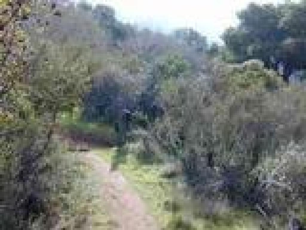 Junction
