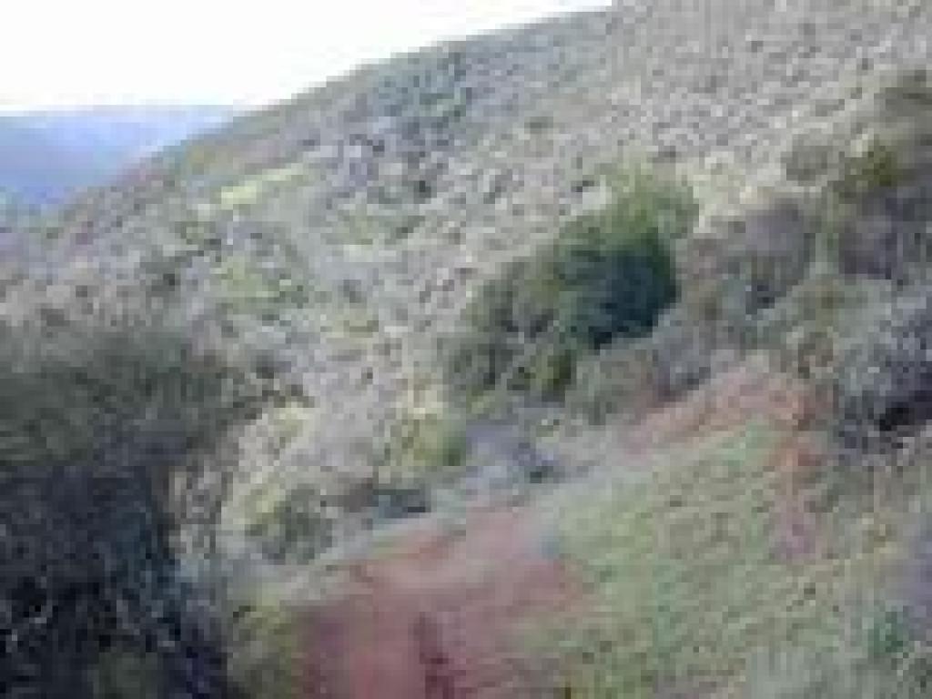 Grapevine Trail