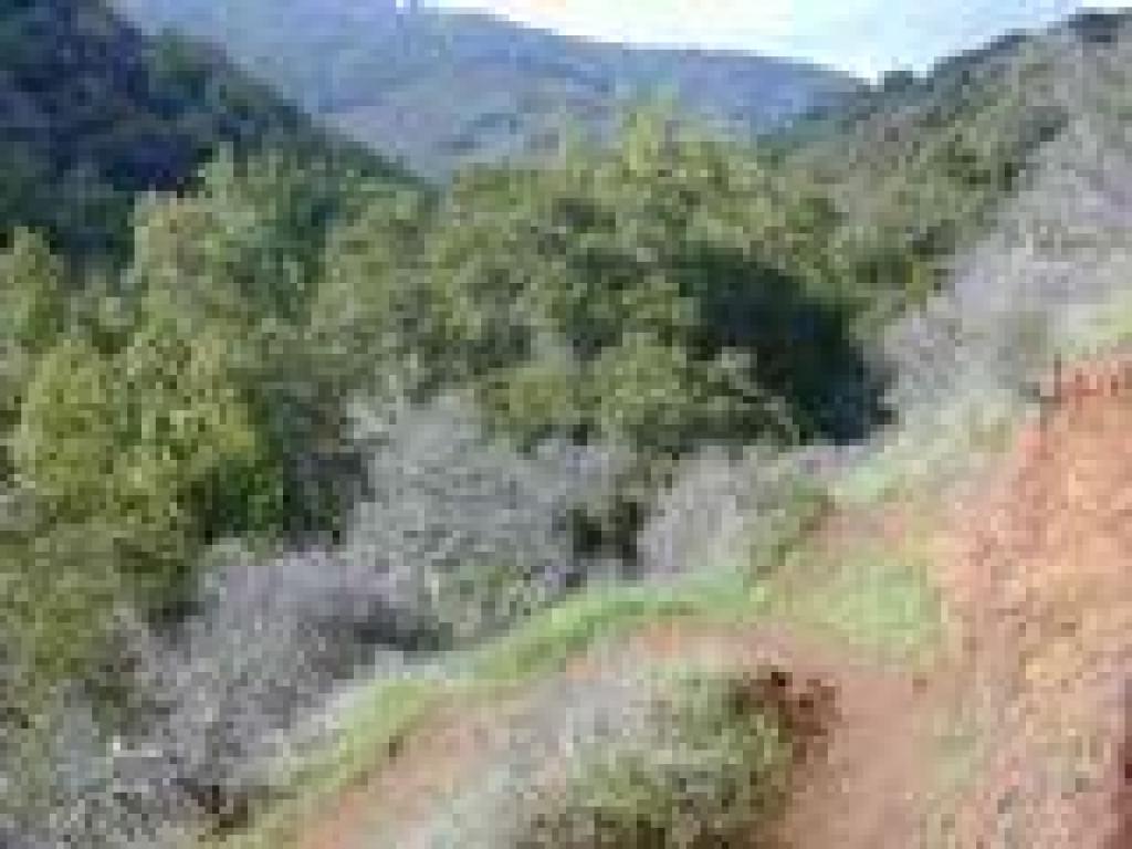 Switchback