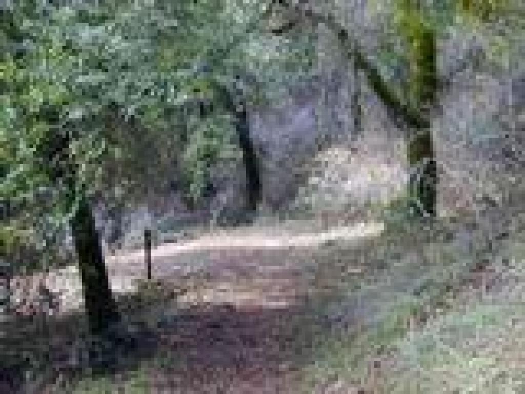 Junction