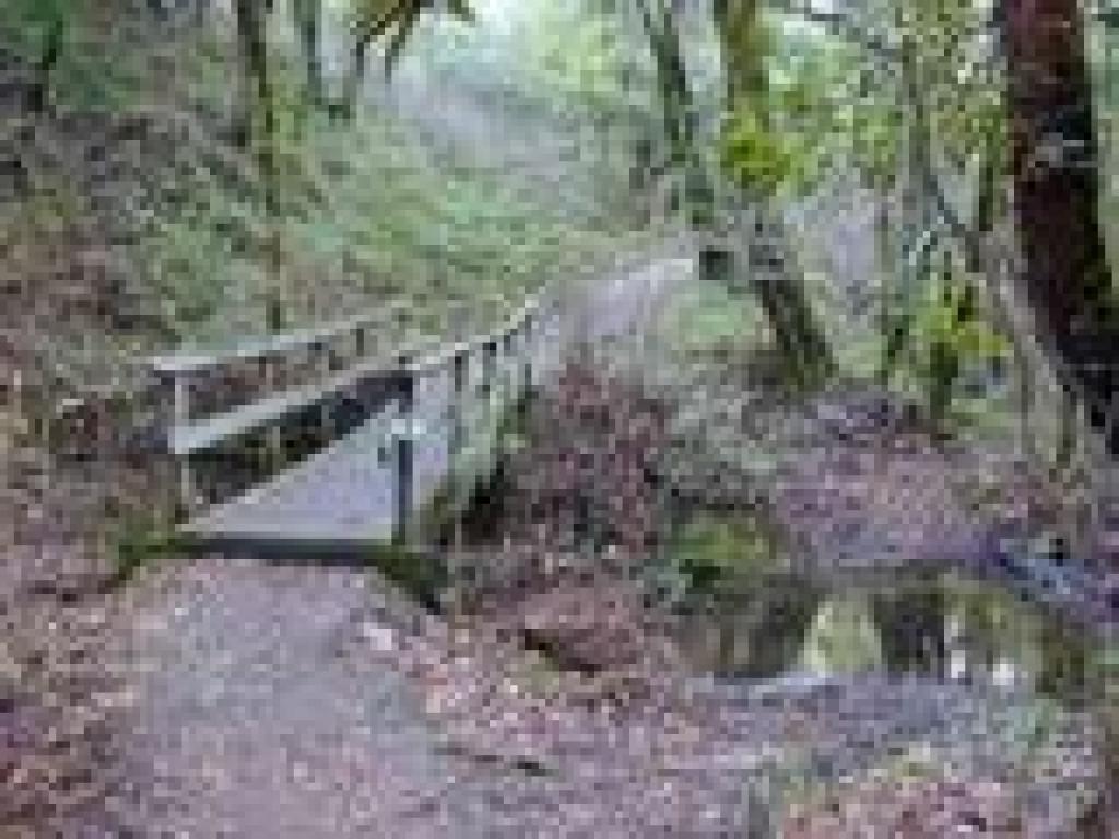 Bridge