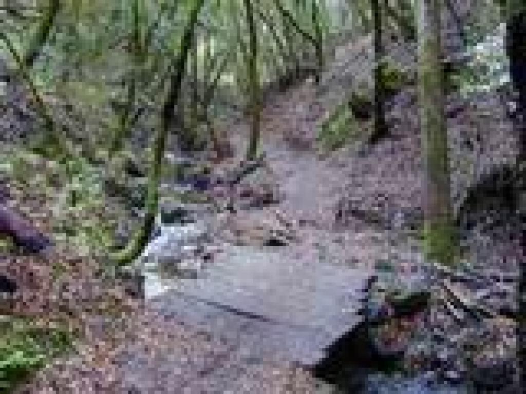 Bridge