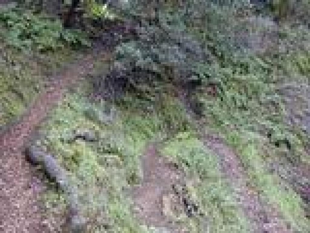 Switchbacks