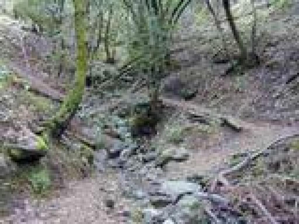 Waterfall area