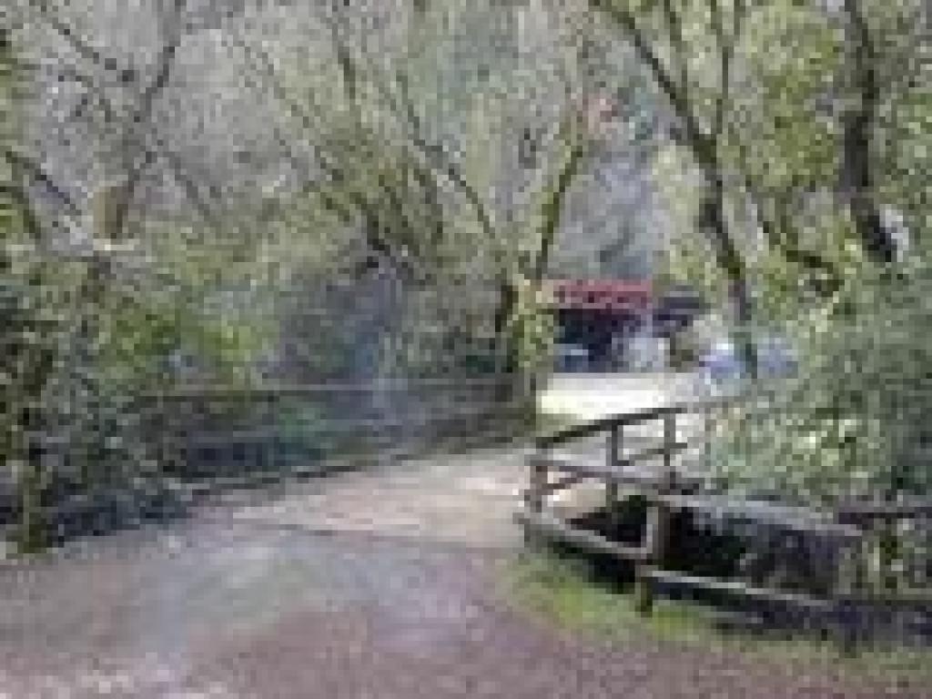 Bridge