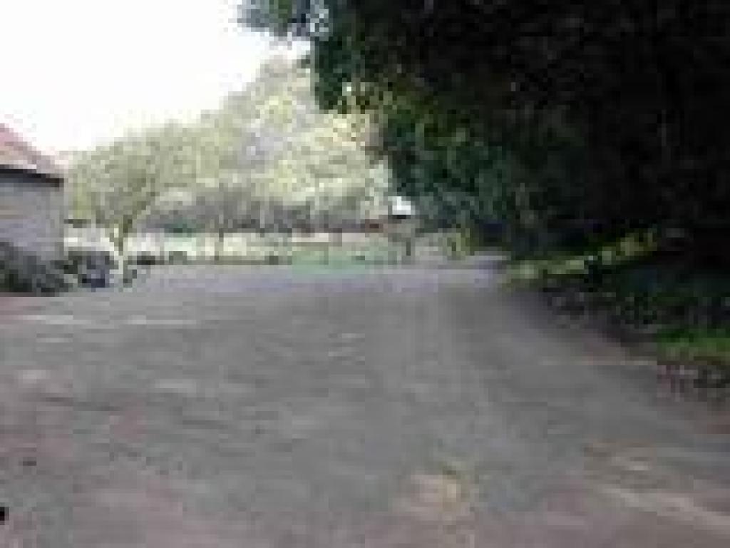 Approaching sheep pasture