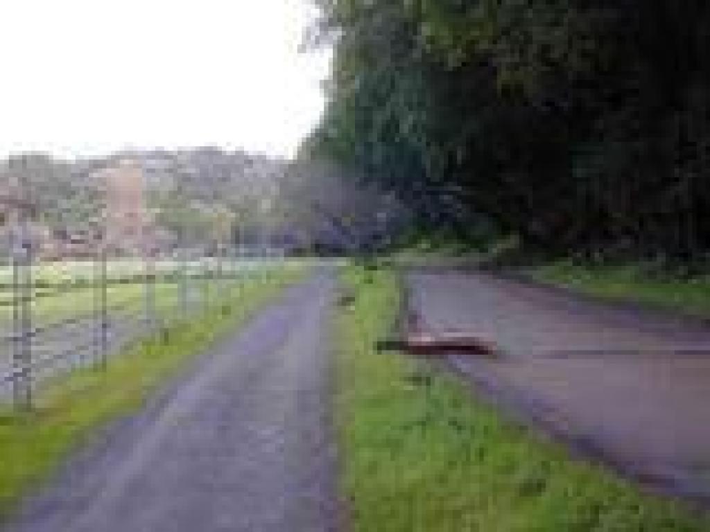 Returning along the farm road