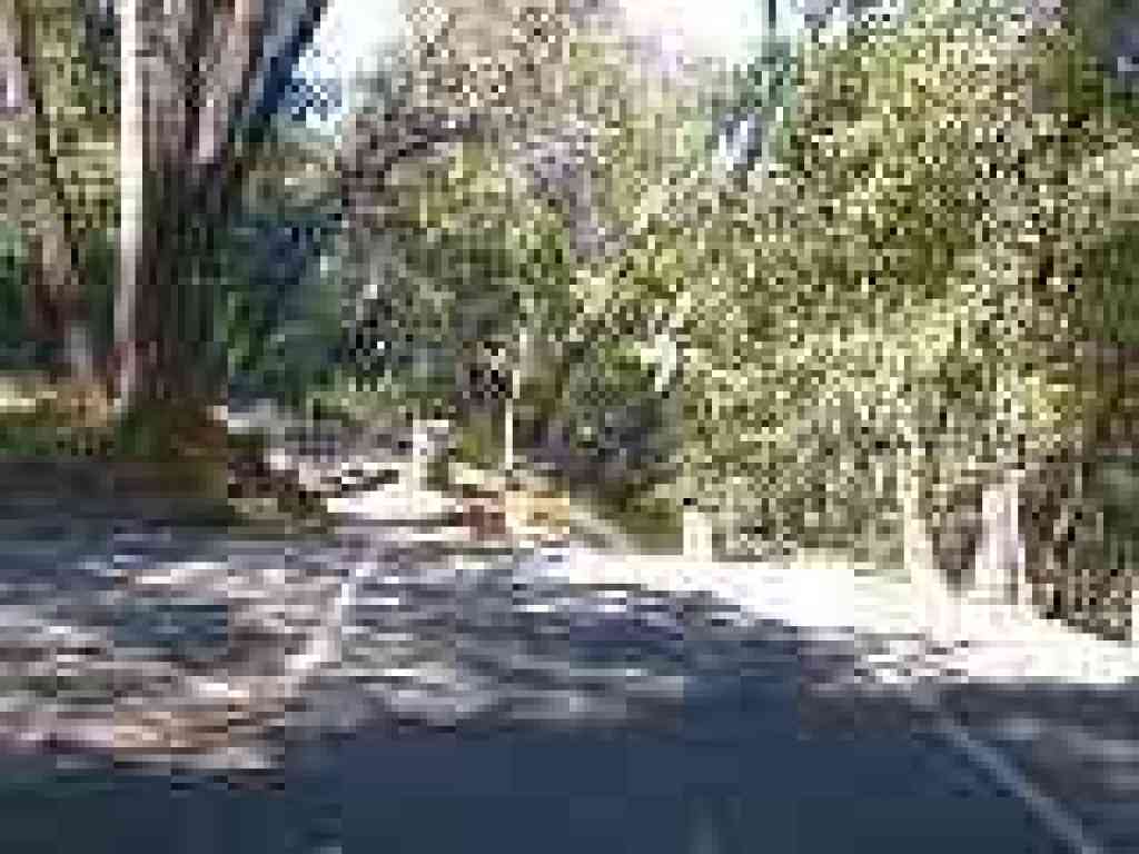 Trailhead