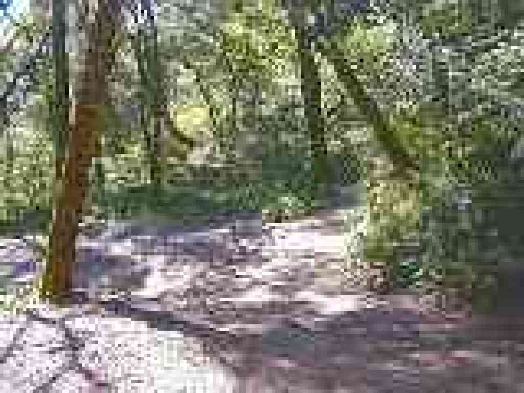 First junction with Archery Fire Road