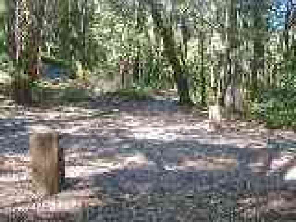 Second junction with Archery Fire Road
