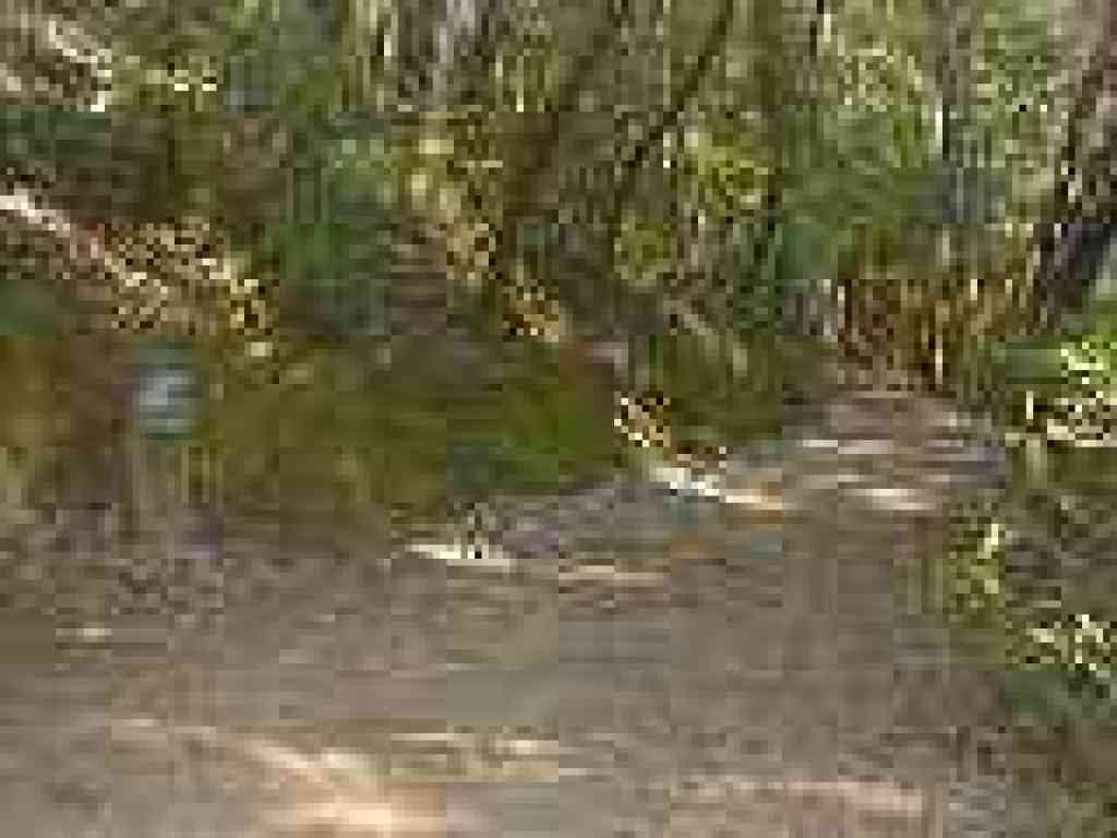 Junction