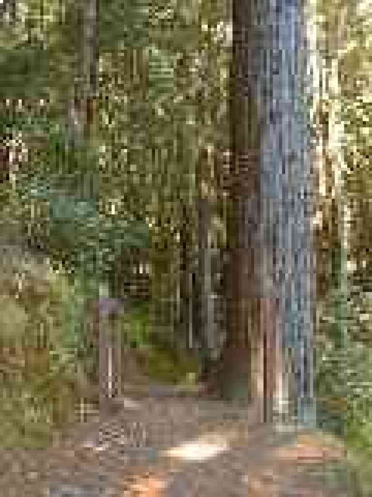 Seasonal closure gate