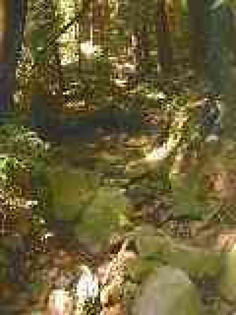 Creekbed