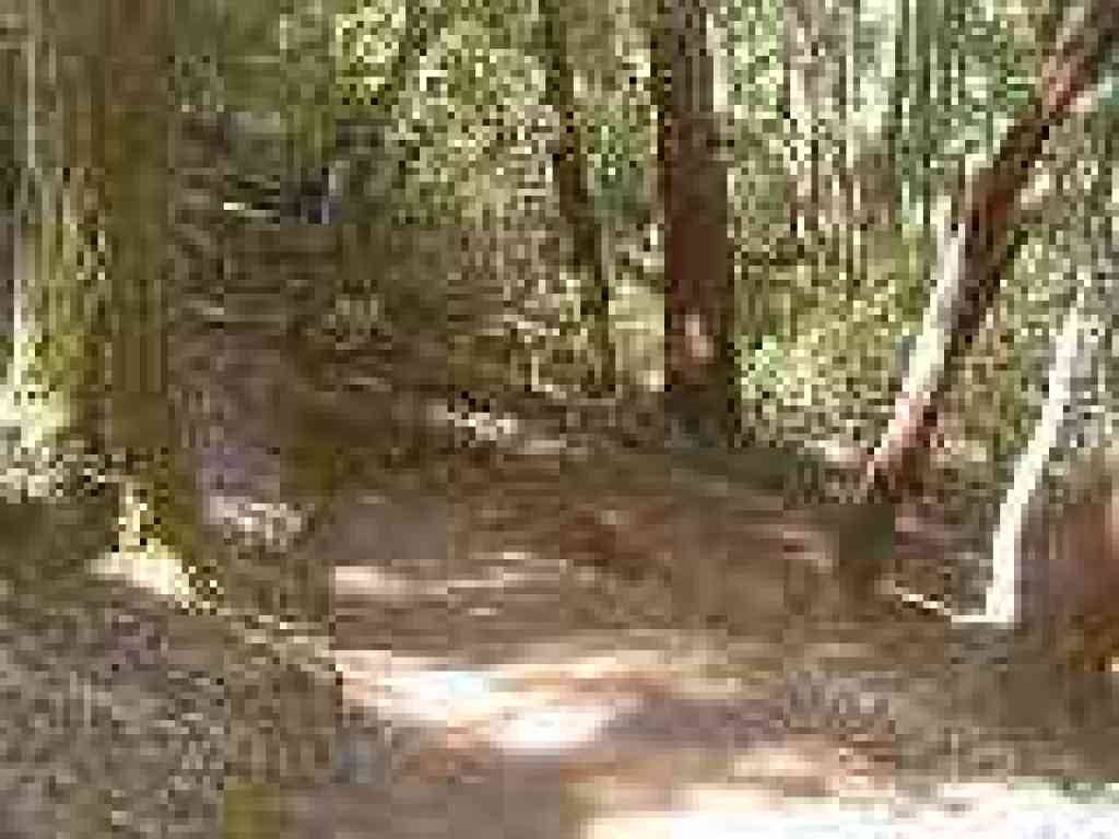 One of many switchbacks