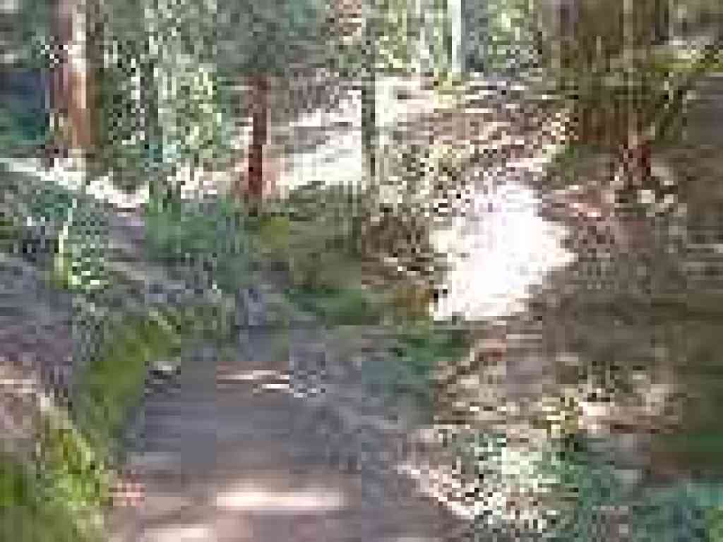 Creek crossing