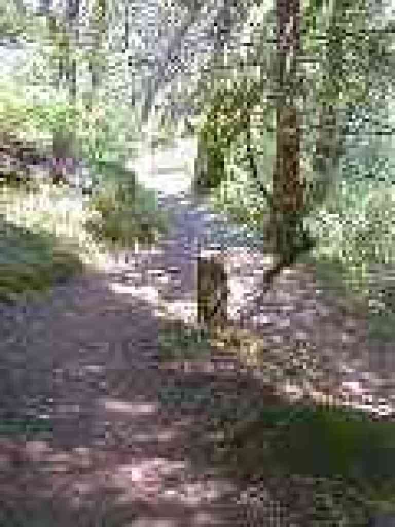 Junction
