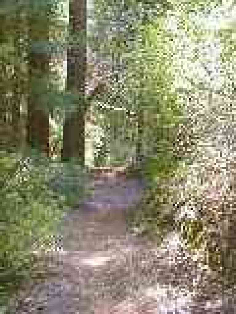 Crystal Springs Trail