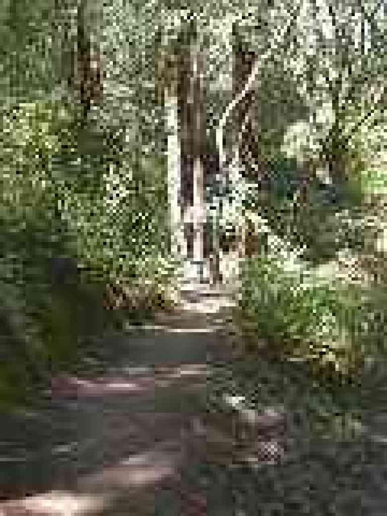 Bridge