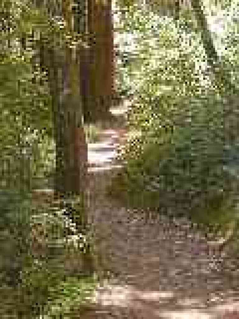Crystal Springs Trail