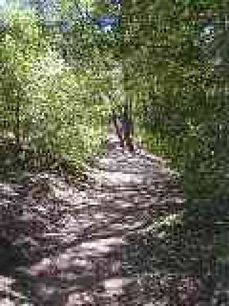 Skirting picnic areas