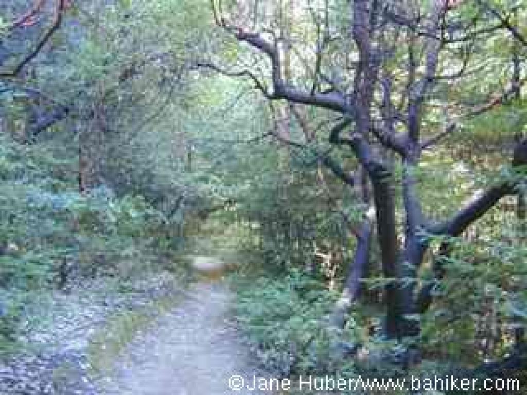 Crystal Springs Trail