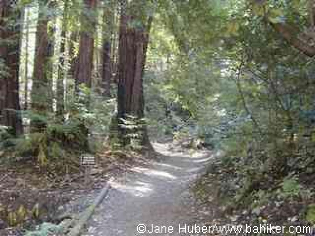Ascending on Crystal Springs Trail