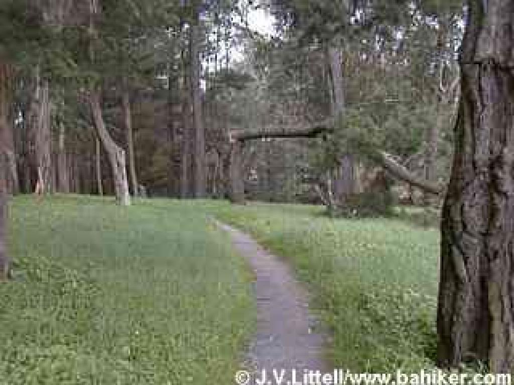 Quail Loop Trail