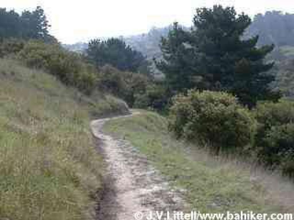 Descending on Quail Loop Trail