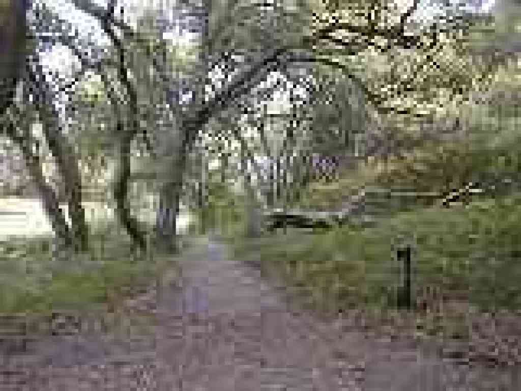 Live Oak Nature Trail