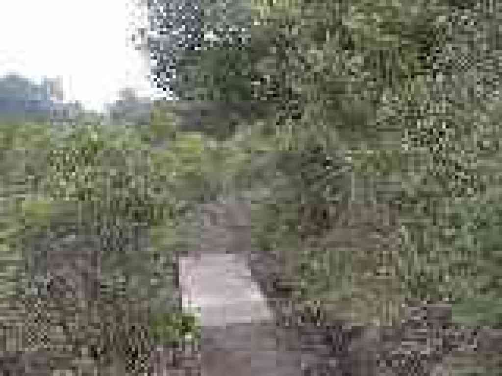Creek crossing