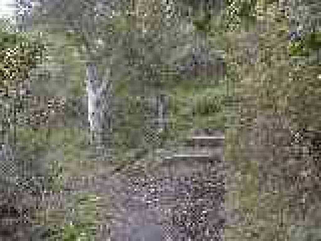 Junction