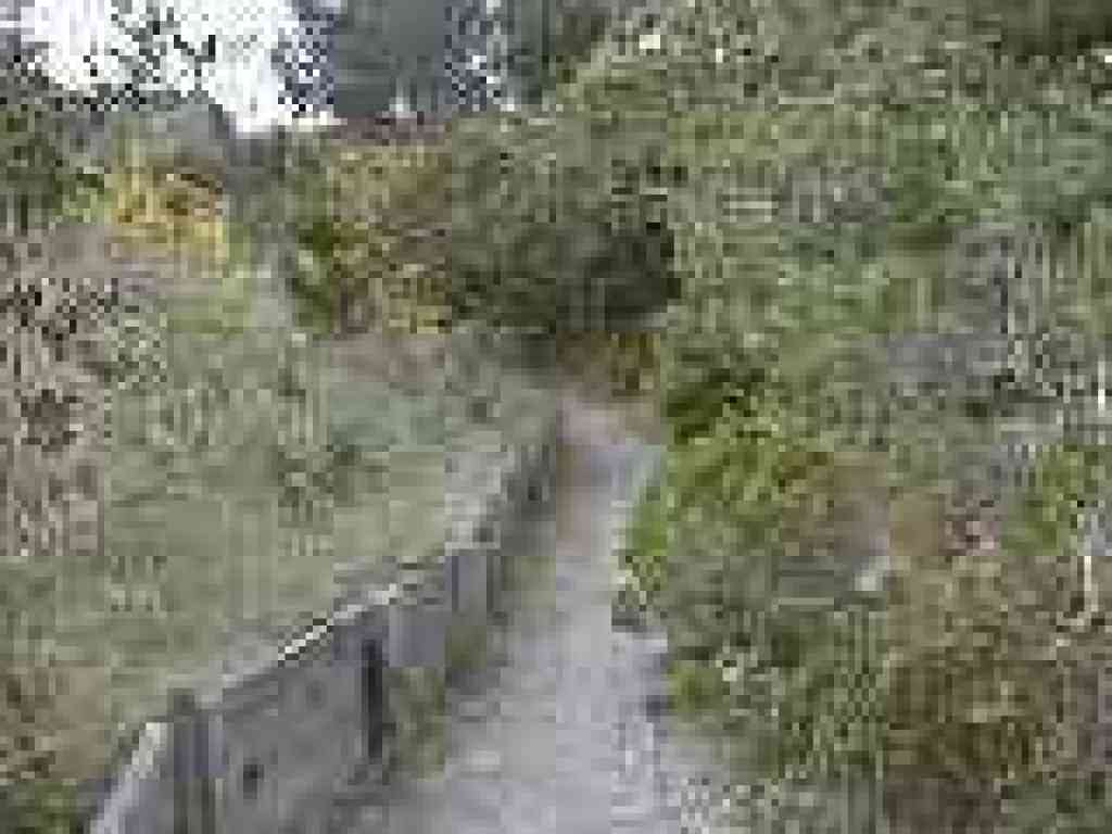 Live Oak Nature Trail
