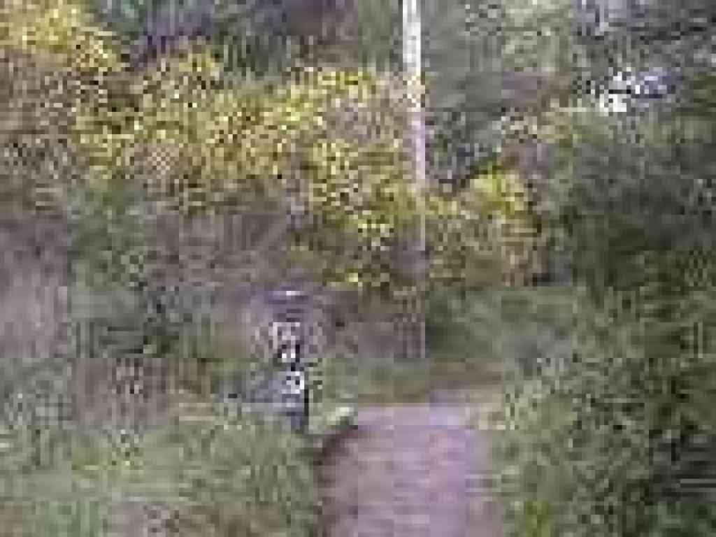 Junction