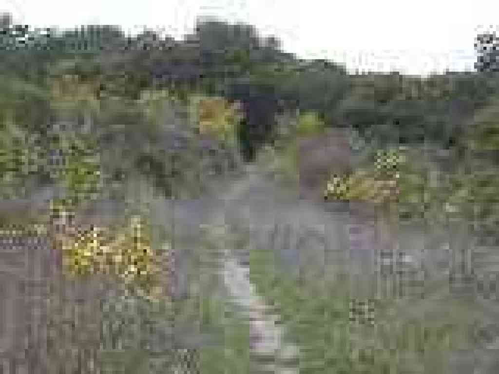 Buckeye Trail