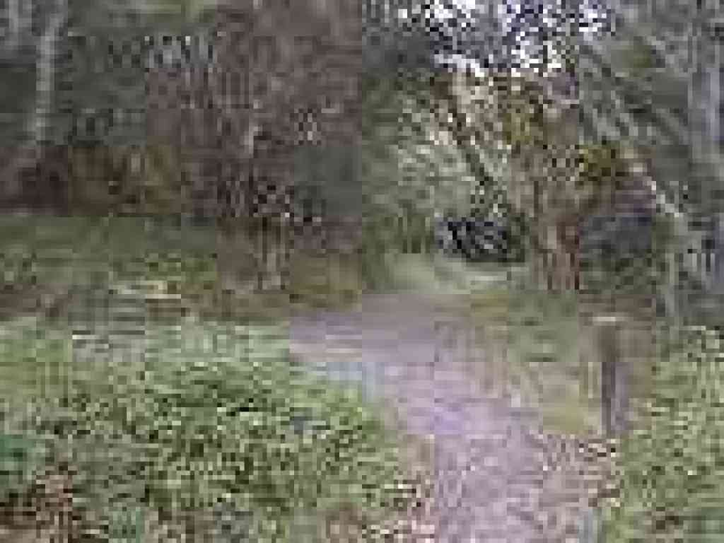 Junction