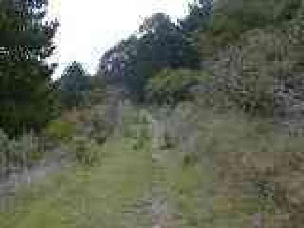 Quail Loop Trail