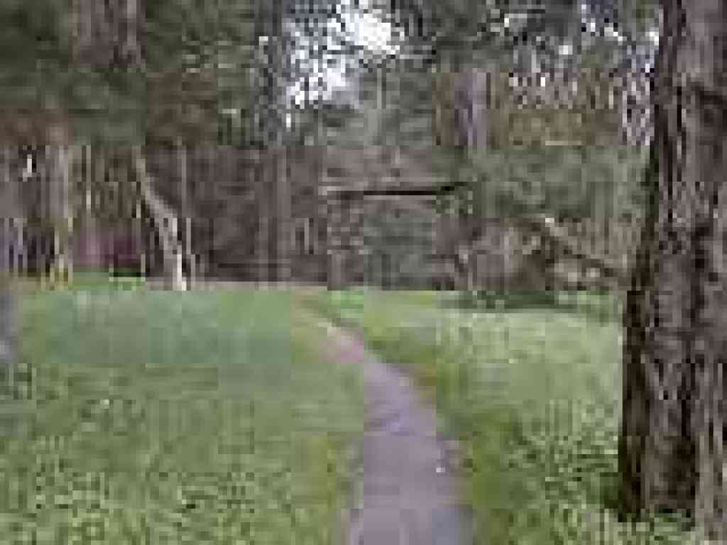 Near Bay View Shelter