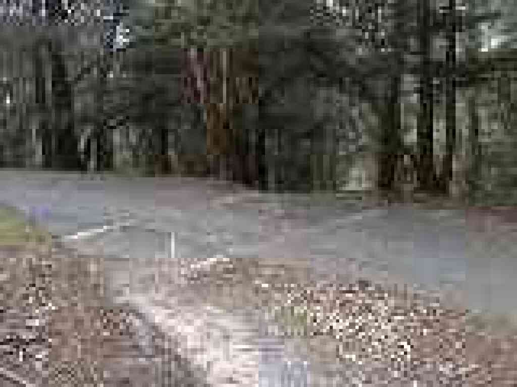 Road crossing