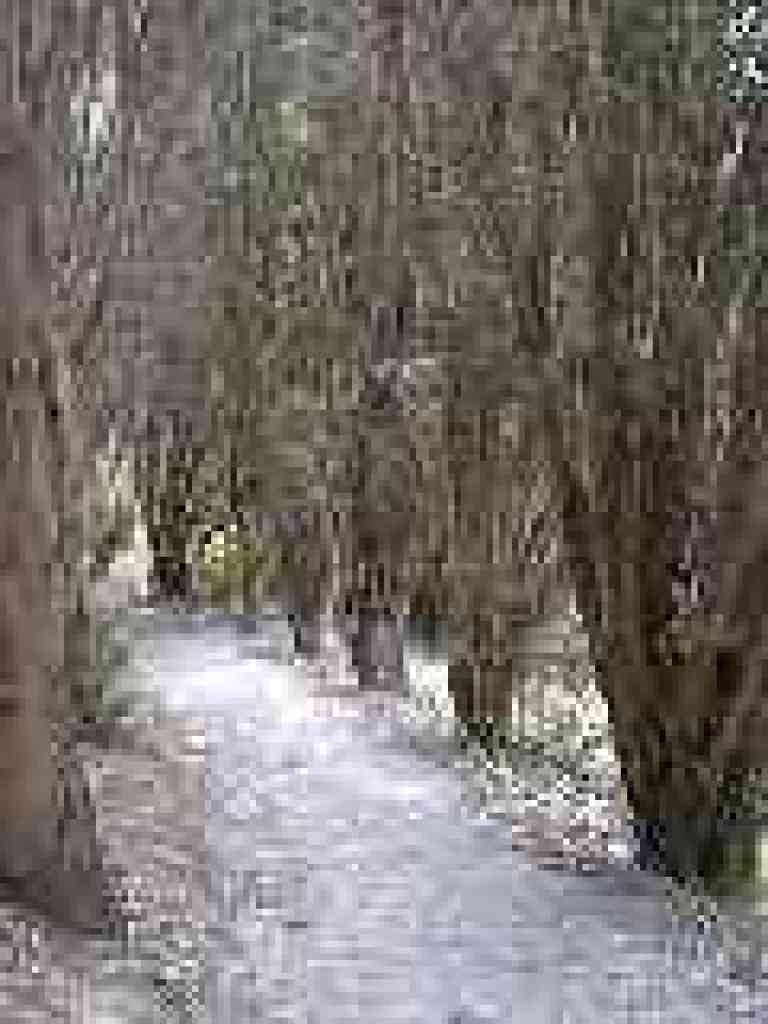 Switchback