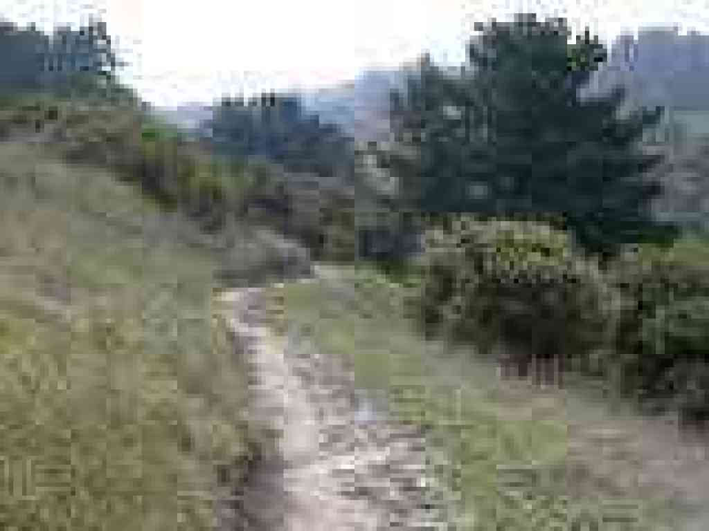 Quail Loop Trail