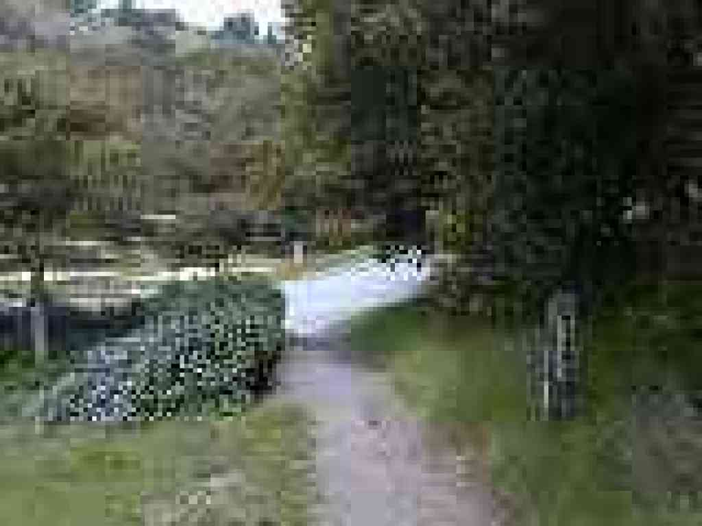 Near Willow Shelter