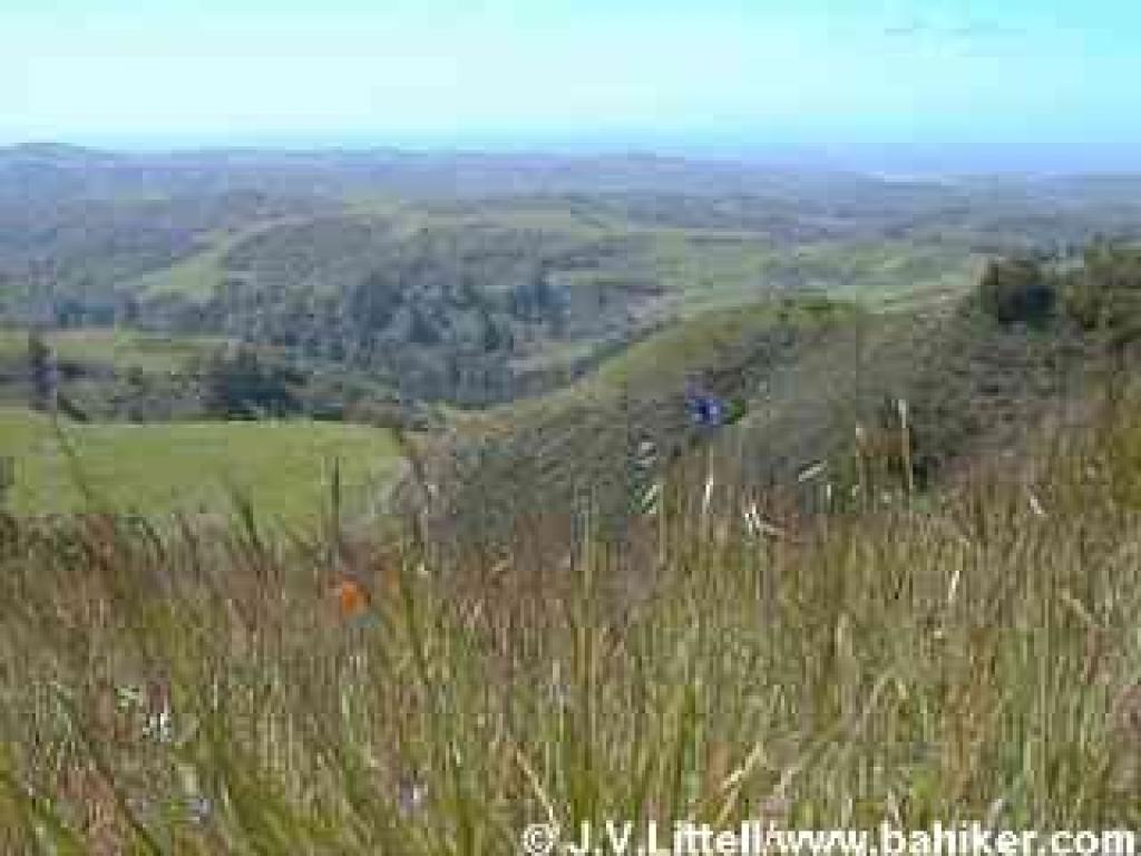 La Honda photo